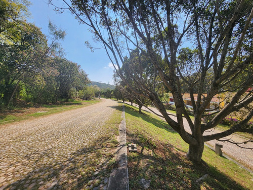 Venta Lote Glorieta 1 Justo En El Acceso Y Cerca De Amenidades Con Proyecto Incluído En Fracc Rancho San Diego Ixtapan De La Sal Edomex