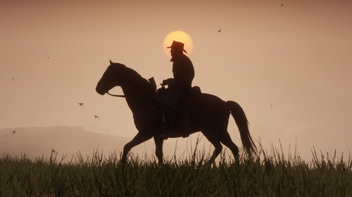 Red Dead Redemption 2 Standard Edition Rockstar Games PS4 Físico
