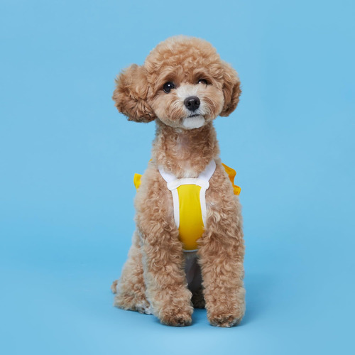 Flot Designer Dog Crop Top Materials Premium Ajustado Diseña