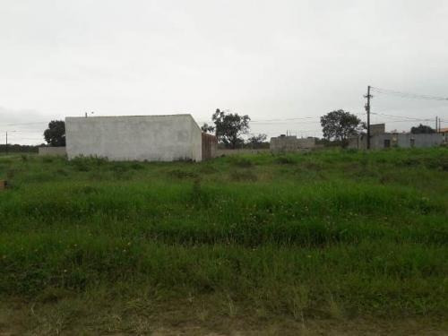 Imagem 1 de 4 de Vendo Terreno Medindo 250m² Em Peruíbe No Litoral - 7216 Npc
