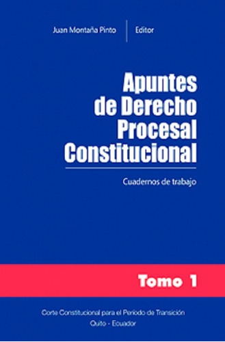 Apuntes De Derecho Procesal Constitucional. Tomo I