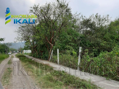 Imagen 6 de 10 de Terreno Comercial En Venta Primavera