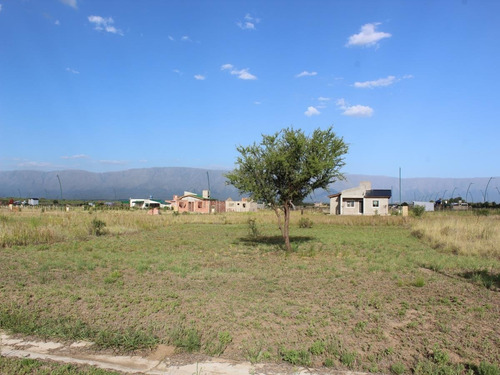 Imagen 8 de 11 de Venta De Lotes En Estación Conlara, San Luis