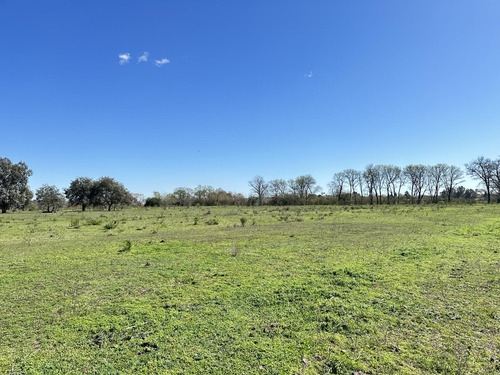 Venta Terreno En Lobos, Lotes De Casi 1ha