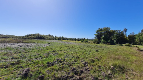 Parcela 10.000 M2 (1 Hectárea) - La Pasada - Maullín