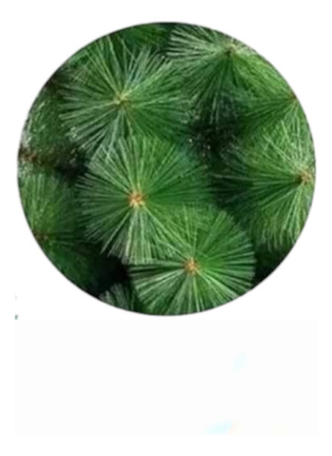 Árbol De Navidad Pino Verde 210 Cm