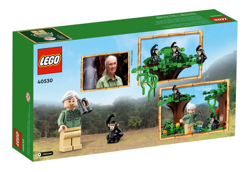 Lego Special Edition Tribute To Jane Goodall 40530 - 276 unidades