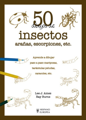 50 Dibujos De Insectos Arañas, Lee J. Ames, Hispano Europea