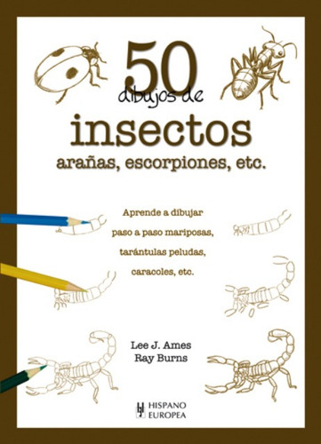 Imagen 1 de 3 de 50 Dibujos De Insectos Arañas, Lee J. Ames, Hispano Europea