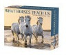 Calendario De Cajas What Horses Teach Us 2023