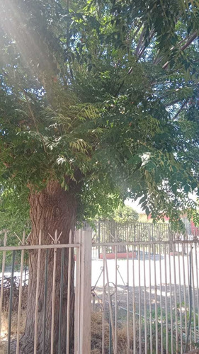 Camino Melipilla/av. Suiza (90686)