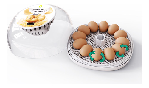 Incubadora Para Incubar Huevos En Bandeja, Control De Huevos