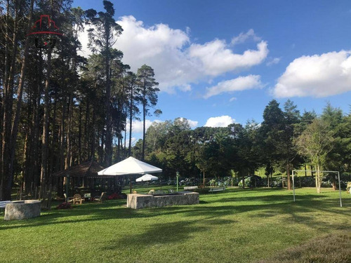 Imagem 4 de 14 de Casa Com 6 Dormitórios À Venda, 972 M² Por R$ 40.000.000,00 - Parque Das Nascentes - Pinhais/pr - Ca0089