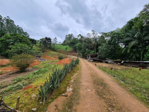 Imagem 8 de 13 de Belíssimo Sítio Localizado Em Pomerode, Bairro Ribeirão Souto, Com Área De 49.000 Metros Quadrados, Nascente De Água Dentro Do Terreno, Casa De Madeira, Galpão, Rancho Para Gado, Totalmente Cercad