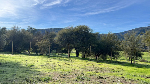 Venta De Terrenos En Pintué Aculeo