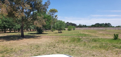 Imagen 18 de 27 de Venta Lotes Los Fresnos Barrio Cerrado Privado, Virrey Del Pino, La Matanza