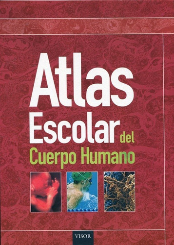 Atlas Escolar Del Cuerpo Humano, de VV. AA.. Editorial Visor en español