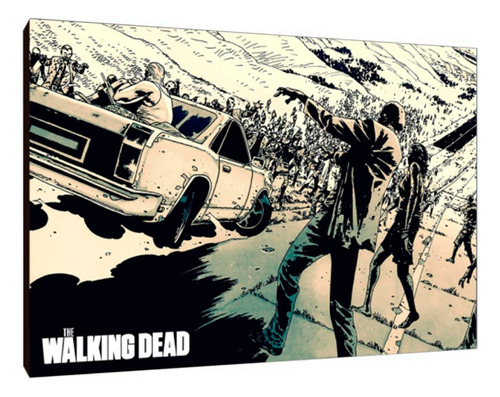 Cuadros Poster Series The Walking Dead L 29x41 (wdd (10)
