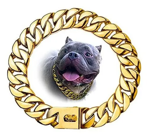 comprar Collar De Perros De Oro Para Perros Grandes, 32mm 6stpn