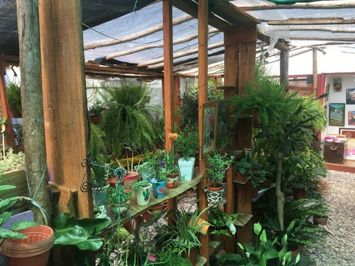 Imagen 12 de 30 de Casa + Vivero En Balneario Argentino