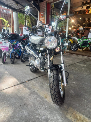 Motomel Max 110 Rancho 195 Zona Norte