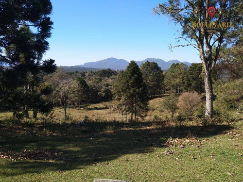 Imagem 13 de 18 de Chácara À Venda, 144000 M² Por R$ 1.200.000,00 - Palmitalzinho - Quatro Barras/pr - Ch0004