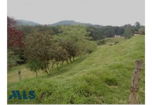 Finca Independiente En Rionegro - El Tablazo(mls#249941)