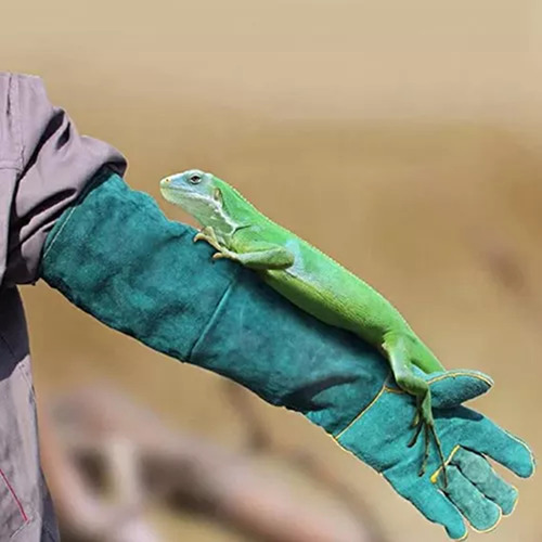 Guantes Largos Antimordeduras Para Mascotas De 60 Cm