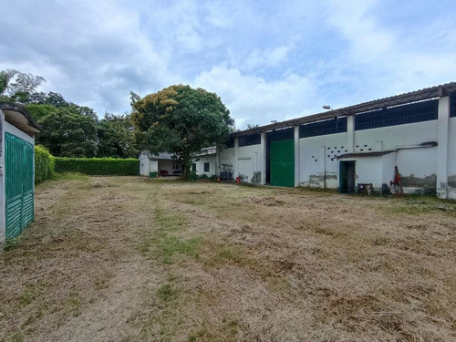 Imagen 5 de 17 de Bodega En Venta En Santander De Quilichao La Corona 1. Cod 102692