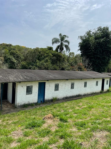 Imagem 19 de 30 de 51- Vendo Linda Chacrinha Em Ibiúna Por 65 Mil