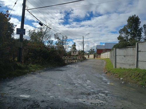 Crea Tu Negocio Hidropónico En Chinquihue
