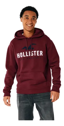Sudadera chico hollister hotsell