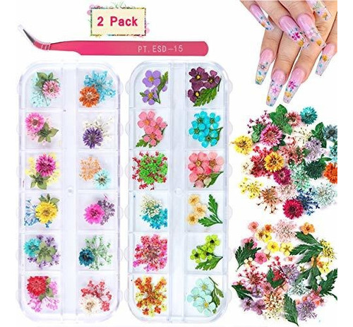 2 Cajas De Flores Secas Para Nail Art Kissbuty 24 Colores Fl