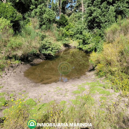 Vendo Chacra En Paraje Del Tigre, Cerca De Soca