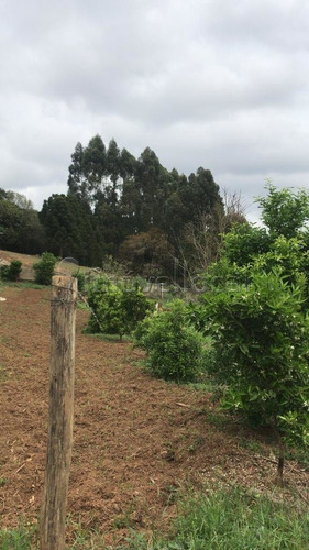 Imagem 14 de 14 de Chácara Com 3 Dormitórios À Venda Com 13800m² Por R$ 489.000,00 No Bairro Cerro Verde - Quitandinha / Pr - Ch0003