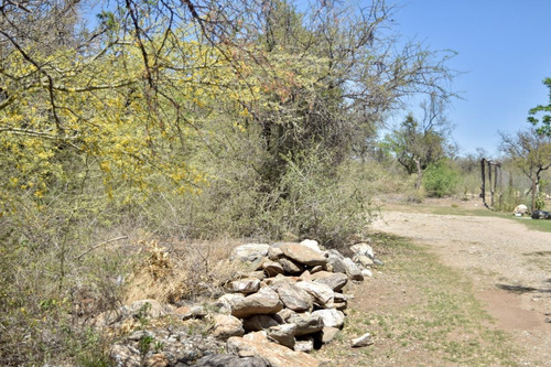 Imagen 4 de 17 de Lote En Carpintería De 1992m2 En Esquina