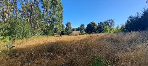 Tu Refugio Soñado A 35 Km De Temuco