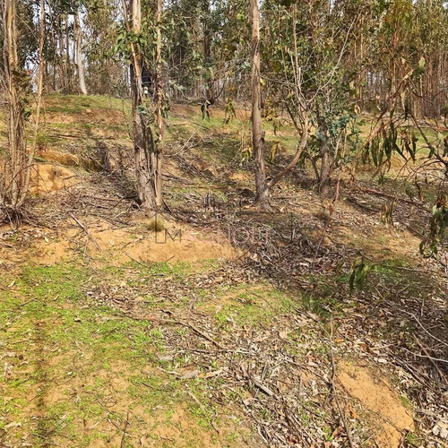 Sitio En Venta En Condomino Almar, Comuna De Navidad.