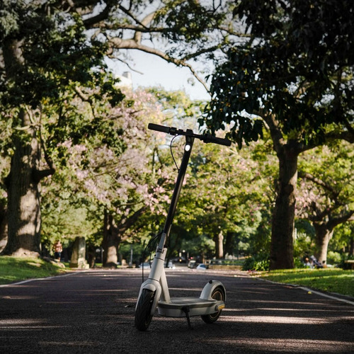 Monopatín Segway Max G30lp Scooter Eléctrico Ninebot