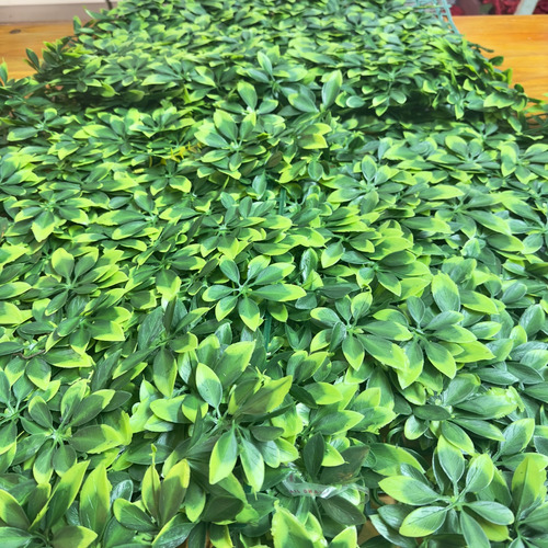 Plantas Artificiales, Lady Pía, Lámina Pasto Con Hojas