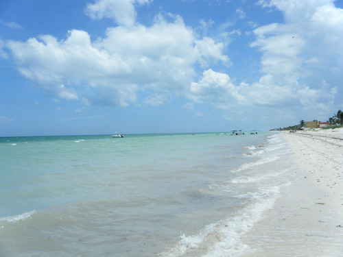 Terreno En Venta En Chicxulub Puerto Yucatán Playa