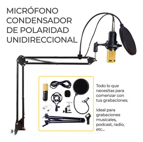 Brazo Micrófono Profesional Streaming De Condensador Gold Negro