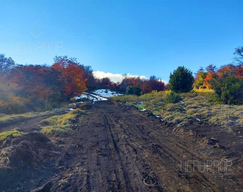 Imagen 8 de 15 de Venta - Lotes - Terreno - Altos De Caleuche, San Martín De Los Andes, Neuquén