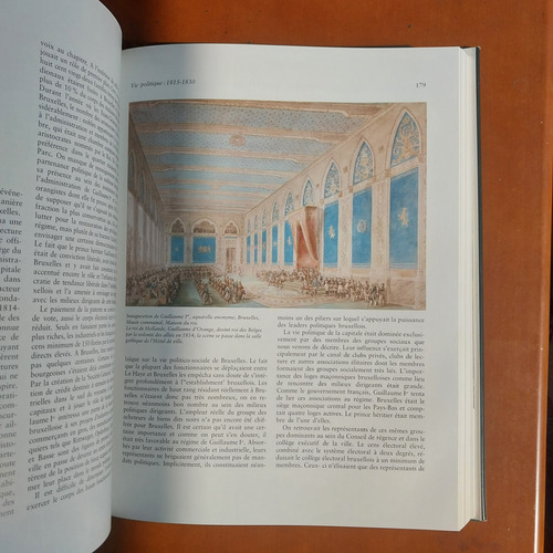 Libro Sobre Bruselas En Francés. Historia De Una Ciudad (Usado)
