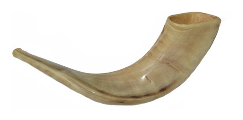 Imagem 7 de 10 de Shofar Chifre De Carneiro De Tocar Ou Ungir/unção + Suporte - Original De Israel