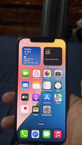 Apple iPhone 12 Pro (256 Gb) - Grafito (fallo En Módulo De Cámaras) Leer Descripción (Usado)