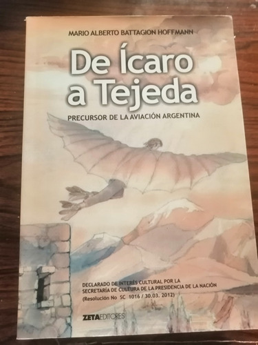 Precursor De La Aviación Argentina Mario Battagioni Hoffmann