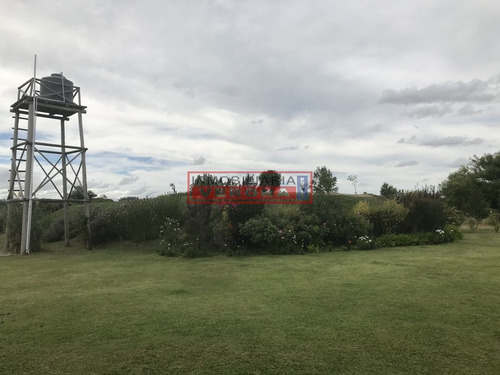 Imagen 2 de 30 de Venta De Chacra Sobre Ruta 9 A 30 Km De Jose Ignacio
