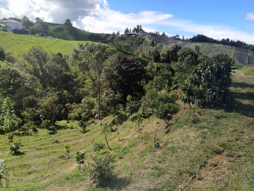 Lote En La Vereda Vallejuelo En El Carmen De Viboral