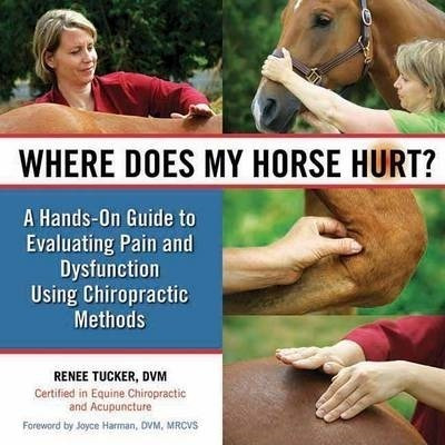 Where Does My Horse Hurt? - Renee Tucker (hardback)